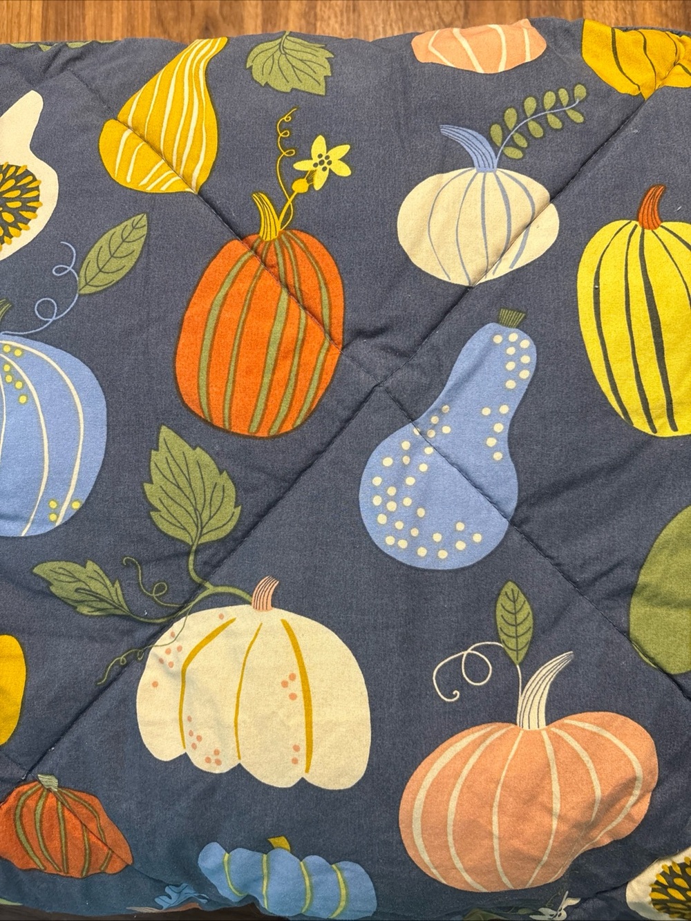 The Company Store Pumpkin & Gourd throw in Blue, Yellow, Orange, Cream